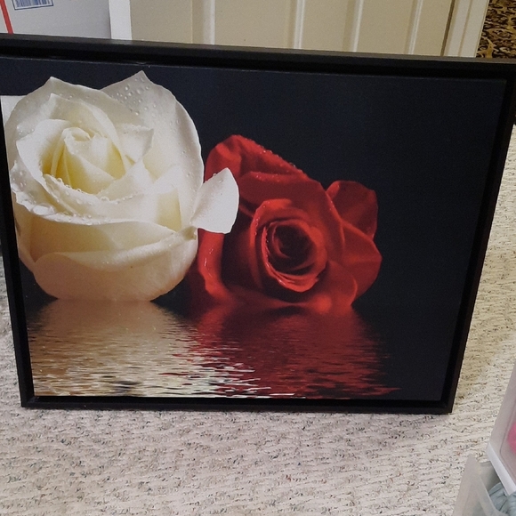 Framed White and Red Rose Art Print - Picture 1 of 6